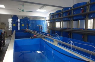 廣東省海洋工程職業技術學校養殖科實訓設施風采展示